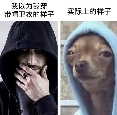 这是一张左右分栏的对比式搞笑梗图，左侧上方配文“我以为我穿带帽卫衣的样子”，对应图中一位身着黑色连帽卫衣的男士，他用手遮住半张脸，面部线条硬朗，搭配深色戒指，整体造型冷酷又充满神秘感，是人们心中穿连帽卫衣的理想帅气形象；右侧上方配文“实际上的样子”，对应图中一只穿着浅蓝色连帽卫衣的狗狗，它的面部表情呆滞又滑稽，和左侧的酷帅形象形成强烈反差，以此调侃人们穿搭时理想与现实的差距，引发共鸣。