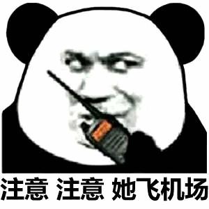 这是一张二次创作的熊猫头表情包，将戏谑的真人脸部表情与熊猫头形象合成，人物手持对讲机，做出通报的姿态，下方配有文字“注意 注意 她飞机场”，整体风格搞笑低俗，用于熟人社交中的玩梗调侃。
双关说明：“飞机场”是双关语，字面含义为航空机场，实际是低俗调侃女性胸部扁平的说法。