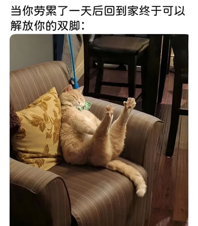 图片上方有文字“当你劳累了一天后回到家终于可以解放你的双脚：”，下方是一只橘猫四脚朝天、非常放松地躺在沙发上，脖子上系着绿色领结，表情满足，生动形象地展现了人们下班后放松的状态。