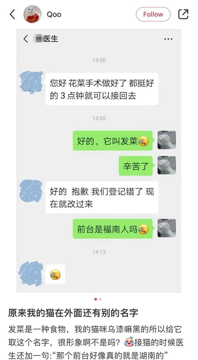 这张截图展示了一段主人与宠物医院（医生）的微信对话，还有配文解读与梗点。在对话中，本来猫咪的名字登记成了“花菜”，但主人提醒猫名应是“发财”（发菜）。由于普通话和一些方言（如福建话、闽南语）存在读音相近的特点，“花菜”与“发财”谐音，被误登记成了“花菜”，主人调侃“前台是福建人吗”。对此，医生表示抱歉并更正，双方以笑脸表情收尾，下方还有配文进一步解释猫名与谐音趣味。

整个场景幽默温馨，有明显的谐音梗与地域性文化玩笑，还反映了南方某些方言区“花菜”与“发财”发音相近，使得医院前台误把猫的名字登记成了食物名。