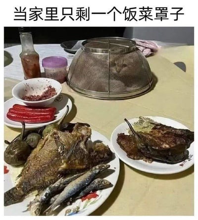 这张图呈现了一个充满反差感的家庭餐桌场景：桌上摆放着多盘吃剩下的残羹冷炙，包括只剩骨架的鱼、少量配菜和酱料，而唯一的金属饭菜罩子却没有罩住这些需要防尘的剩菜，反而罩着空无一物的桌面。图上方配文“当家里只剩一个饭菜罩子”，用这种让人哭笑不得的乌龙场景制造搞笑效果，精准调侃了生活中偶尔出现的迷糊瞬间，显得真实又滑稽。