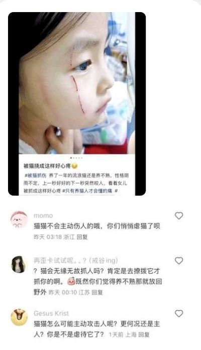社交媒体截图显示一名小女孩面部有明显猫抓伤痕迹，引发关于猫咪是否会主动伤人的网络争论。主贴表达了对女儿被养了一年的流浪猫抓伤的心疼，称猫咪性格阴晴不定。评论区出现不同观点，有人认为猫不会主动伤人，质疑是否有人虐待猫咪或故意撩拨，也有人认为养不熟的猫应该放回野外。