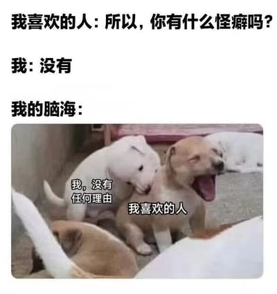 这是一张图文混排的搞笑恋爱梗图，上方分为三段文字：第一段是“我喜欢的人”提问“所以，你有什么怪癖吗？”，第二段是“我”回答“没有”，第三段引出“我的脑海：”，下方是一张狗狗互动的照片，其中一只白色狗狗被标注为脑海中的“我”，配文“我，没有任何理由”，它亲昵地凑到一只张嘴打哈欠的浅棕色狗狗身边，这只浅棕色狗狗被标注为“我喜欢的人”。整幅图通过嘴上说没有怪癖，脑海里却毫无理由地对喜欢的人着迷的反差，生动调侃了人们面对喜欢的人时口是心非、内心不受控制的恋爱心理，用狗狗的可爱互动让这种反差感更显搞笑和真实。