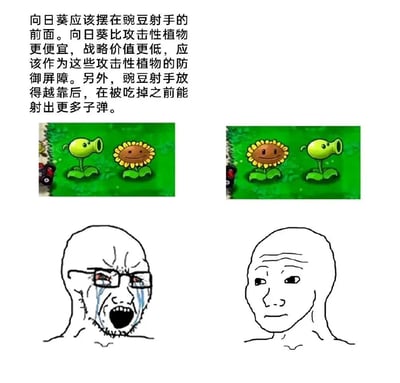 图片上方为一段关于《植物大战僵尸》游戏策略的文字，主张向日葵应摆在豌豆射手前面，理由是向日葵成本更低、战略价值低，可作为防御屏障，而豌豆射手靠后能射出更多子弹。中间是两张游戏内植物摆放对比图：左侧图豌豆射手在左、向日葵在右；右侧图向日葵在左、豌豆射手在右。下方是两个 meme 人物头像对比：左侧人物戴眼镜、眉头紧皱、泪流满面且嘴巴大张，表情激动；右侧人物面部平静，表情淡然。