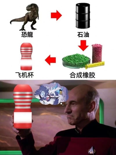 这张梗图通过流程图形式展示了一个荒诞的转化过程：恐龙→石油→合成橡胶→飞机杯。上半部分用箭头连接了各个物品的图片和中文标签，下半部分则是《星际迷航》中的帕特里克·斯图尔特（饰演皮卡德舰长）手持飞机杯，旁边的思想泡泡里有一个兴奋的动漫角色。整体采用了多图拼接和图文混排的方式，通过不合逻辑的因果关系制造幽默效果。