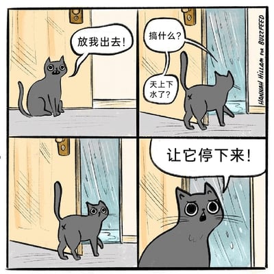 这是一幅四格连环卡通漫画，以一只灰色猫咪为主角，用拟人化的情节展现了猫咪的搞笑日常。第一格中，猫咪蹲在紧闭的门边，眼神急切，大声喊着“放我出去！”，表现出强烈的出门意愿；第二格门被打开，猫咪走到门口，看到外面正在下雨，露出疑惑的神情，接连发出“搞什么？”“天上下水了？”的疑问；第三格猫咪回头，脸上满是惊讶的表情；第四格猫咪对着窗外的雨，瞪大双眼，愤怒又无奈地喊出“让它停下来！”，生动刻画出猫咪不讲理、反复无常的可爱性格，充满生活趣味。