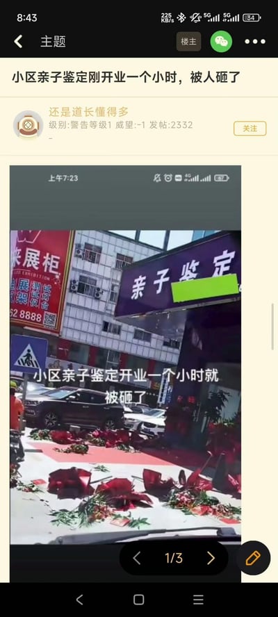 这是一张论坛帖子的截图，楼主发布了小区周边一家刚开业1小时的亲子鉴定店铺被砸的现场照片。画面中店铺的开业花篮被砸落在地面，店铺的“亲子鉴定”招牌清晰可见，配文标注“小区亲子鉴定开业一个小时就被砸了”。该事件带有调侃意味，暗示这类店铺可能触及部分人的利益，引发网友的猎奇讨论。