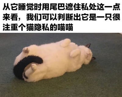图片中一只白色猫咪（尾部为黑色）仰卧在绿色地毯上，四肢朝上，双眼紧闭，正处于熟睡状态。特别的是，它的尾巴自然地覆盖在身体下方，恰好遮住了私处。图片上方配有黑色文字：“从它睡觉时用尾巴遮住私处这一点来看，我们可以判断出它是一只很注重个猫隐私的喵喵”。通过拟人化猫咪的行为，将其尾巴遮羞的动作幽默解读为“注重个猫隐私”，营造出可爱又搞笑的效果。