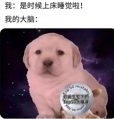 这是一张幽默自嘲类梗图，上方文字分为两部分：“我：是时候上床睡觉啦！”和“我的大脑：”。下方是一只粉色小狗，背景为深邃的宇宙星空，小狗手中拿着一枚圆形徽章，上面写着“Top 50 mistakes 你此生犯下的 Top50大错误”。图片通过对比“想睡觉的自己”和“深夜活跃并回忆错误的大脑”，生动展现了人们睡前大脑过度活跃、难以入眠的常见经历，引发共鸣。
