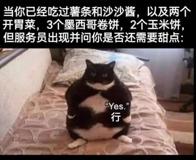 图片中是一只黑白相间的胖猫直立坐在铺有花纹床单的床上，表情坚定。上方文字描述了一个场景：当你已经吃完薯条、沙沙酱、两个开胃菜、3个墨西哥卷饼和2个玉米饼后，服务员询问是否需要甜点时，猫的对白气泡里写着“Yes.”和“行”，幽默地展现了即使吃得很饱也无法拒绝甜点的吃货心态。