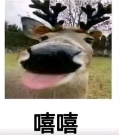 这是一张趣味表情包图片，主体是一只近距离对着镜头的鹿，它吐出粉色的舌头，眼睛半眯，呈现出搞怪又调皮的神态，仿佛在做鬼脸。图片下方配有醒目的黑色简体中文文字“嘻嘻”，进一步强化了这种调皮、偷笑的情绪，整体风格轻松诙谐，非常适合在社交聊天中用来表达开心、调皮或者带有小得意的心情，能让对话氛围变得更加轻松活泼。