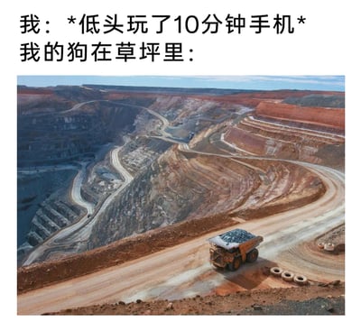 这是一张幽默的宠物主题梗图，上方文字描述“我”仅仅低头玩了10分钟手机，下方用一张大型露天矿坑的照片来比喻自家狗狗在这段时间里把草坪刨得面目全非，通过极度夸张的反差手法，调侃狗狗爱刨土、破坏力强的调皮习性，让养宠人群能产生共鸣，充满搞笑趣味。