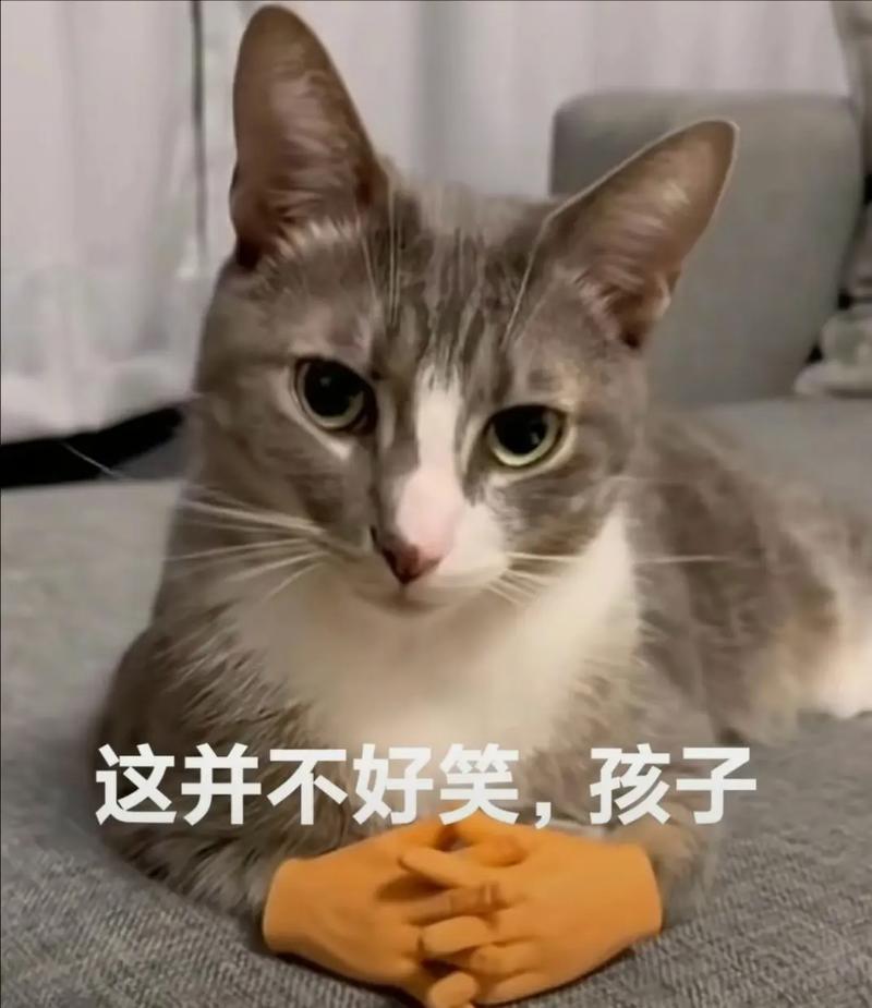 科比·布莱恩特