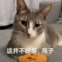 孩子们，这并不好笑