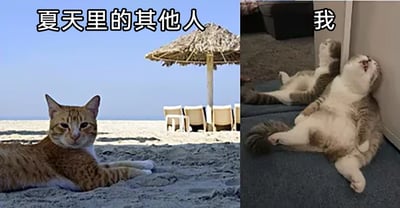 这是一张左右对比的多图拼接静态图，通过两只猫咪的状态反差来表现夏日里不同人的处境差异。左侧区域标注“夏天里的其他人”，画面中一只黄白花纹的猫咪趴在海滩的沙地上，背景是晴朗蓝天、沙滩和遮阳伞，猫咪神态放松惬意，呈现出惬意消暑的度假状态；右侧区域标注“我”，画面中一只胖猫咪仰躺在室内的墙角处，张着嘴，四肢完全摊开，姿态看起来十分燥热难受。整张图用生动的猫咪形象对比，精准戳中很多人在夏天无法惬意消暑，只能在闷热环境里煎熬的真实体验，引发强烈共鸣，充满趣味和生活感。