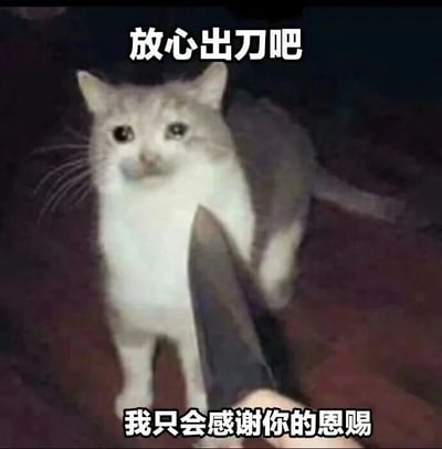 这是一张文字加注类的静态单图表情包，画面主体是一只灰白相间的猫咪，它双眼湿润，神态委屈又卑微，面前有一只手握着一把刀指向它。图片上方配有白色文字“放心出刀吧”，下方配有白色文字“我只会感谢你的恩赐”，通过猫咪的委屈神态和反差感的文字，营造出一种在强势压力下被迫顺从、自嘲式接受不利处境的情绪，常被用于表达职场中面对不合理要求、生活中遭遇无奈情况时的无力与自嘲心态。