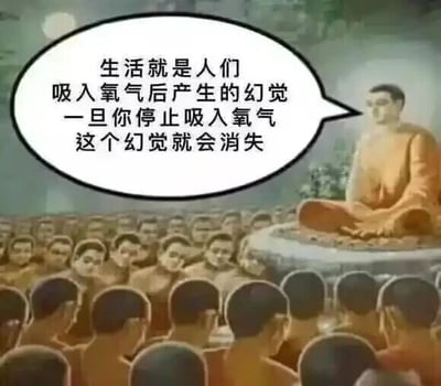 这是一张经过P图改编的静态单图，采用剧场式构图与图文混排的形式，画面还原了类似宗教讲法的场景：一位神态平静的僧人盘腿端坐于高台上，下方是众多专注的听众，左侧的对白气泡中配有一段极具调侃性的文字，将生活定义为“吸入氧气产生的幻觉，停止吸氧幻觉就会消失”，用一本正经的宗教讲法姿态来解构生活，制造出荒诞幽默的反差效果，没有双关、谐音梗等内容，仅以另类角度调侃生活本质。
