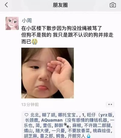 这张图片是一则来自朋友圈的搞笑日常动态。主人公在小区楼下散步，因为附近一只没有拴绳的狗导致被人误会，实际作者和狗毫无关系，只是恰好跟着排队，一脸无奈和哭笑不得。文案用自嘲和轻松幽默的语气展现了“社死现场”，是都市生活中常见的窘境之一。

没有双关或谐音梗，但有无奈与社死的幽默氛围。