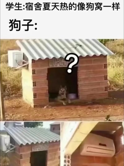 这是一张网络搞笑梗图，顶部配文为学生吐槽“宿舍夏天热的像狗窝一样”，下方先展示了一只趴在带波纹金属顶的砖砌狗窝门口的狗，狗窝上方配有问号表情包，还补充了狗窝外侧安装空调外机的特写，用狗窝都配备了空调的强烈反差感，讽刺学生宿舍夏季的居住条件甚至不如狗窝，笑点十足。