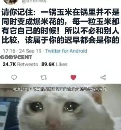 这是一张上下拼接的二次创作图文内容，上半部分是2019年9月24日发布在Twitter（X平台）的励志帖子，内容以玉米变爆米花的过程类比人生，鼓励人们不必和他人比较，每个人都有自己的节奏，该帖子获得了24.7K转发与89.6K点赞；下半部分是网络流行的悲伤流泪白猫表情包，配文“我意识到自己可能是那种到最后也没有崩开的苞米粒儿”，通过反向解读上面的励志话语，精准表达了自我否定、觉得自己落后于他人的沮丧情绪，形成强烈反差，戳中了很多人的共鸣点。