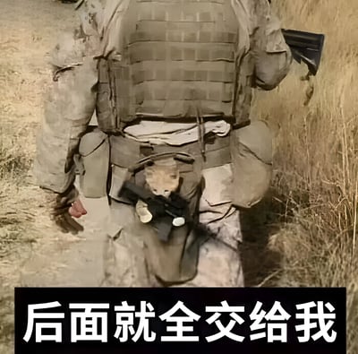 图片展示了一名身穿全套迷彩军装和战术背心的士兵在沙漠环境中行走，其战术背心的口袋里有一只小猫探出头来。图片底部有一行文字：'后面就全交给我'。这张图片通过严肃的军事形象与可爱小猫的反差制造幽默效果。