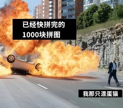 图片展示了一个戏剧性的场景：公路上一辆汽车侧翻并发生剧烈爆炸，火焰冲天，背景是城市建筑群和绿色植被。一名穿着西装的男子正从容不迫地从爆炸现场走开。图片上方有黑色背景白色文字“已经快拼完的1000块拼图”，下方有黑色背景白色文字“我那只混蛋猫”。该梗图通过将汽车爆炸的灾难性场景与“拼图被猫破坏”这一日常 frustration 相结合，用夸张对比的方式幽默表达了拼图爱好者被宠物捣乱后的崩溃心情。
