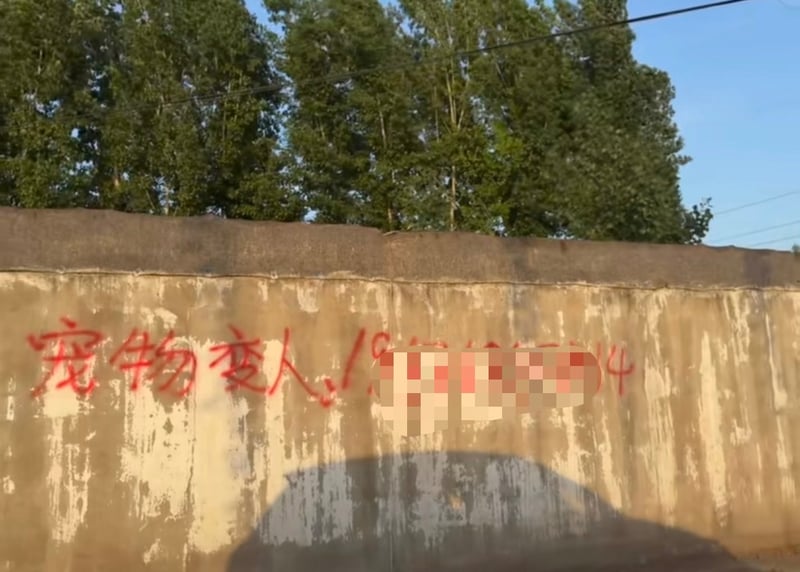 电线杆玄学小广告