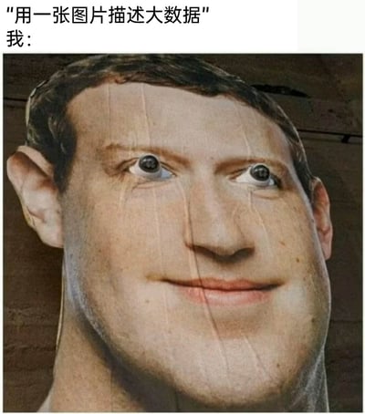 这是一张用于回应“用一张图描述大数据”的搞笑梗图，图中上方配有文字“用一张图片描述大数据”和“我：”，下方是经过P图改编的马克·扎克伯格的面部图像：他的眼睛被修改为带有摄像头的样式，面部扭曲呈现出诡异的微笑，以此荒诞的视觉效果讽刺大数据时代下，科技巨头通过大数据技术对用户进行无孔不入的监视，调侃用户隐私时刻被窥探的现状，表达了对大数据隐私问题的担忧与调侃。