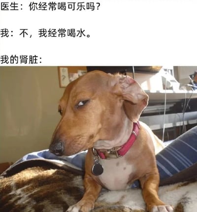 这是一张幽默梗图，展示了一段有趣的对话和一只表情怀疑的狗。上方文字显示医生问："你经常喝可乐吗？"，回答是："不，我经常喝水。"，而下方"我的肾脏："文字旁是一只侧头斜视、表情怀疑的棕色小狗，似乎在无声地表达对这个回答的不信任或怀疑。这种幽默表现了人们有时会自我欺骗或低估自己某些习惯对身体的影响。