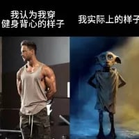 这是一张左右对比的搞笑梗图，左侧展示了肌肉发达的男性穿着健身背心的帅气形象，配文「我认为我穿健身背心的样子」，代表了人们理想中自己穿健身背心的状态；右侧是经典科幻角色E.T.外星人穿着同款背心的干瘪形象，配文「我实际上的样子」，用夸张的视觉反差，自嘲现实中自己穿健身背心和理想的巨大差距，充满诙谐的幽默感。