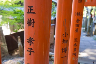 图片展示了日本神社中红色鸟居的特写镜头，聚焦于三根并列的朱红色立柱。左侧立柱上刻有黑色竖排文字“正樹孝子”，中间立柱刻有“小畑博一”，右侧立柱则有“(株)倉田屋 荒木多珂”的字样。背景可见模糊的绿色树叶和神社建筑结构，阳光透过树叶形成斑驳光影，营造出宁静庄重的氛围。