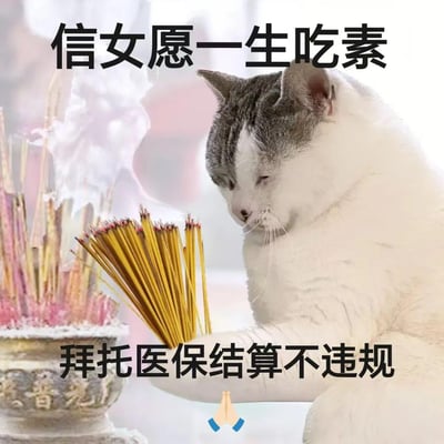 图片中一只灰白相间的猫正双手合十（爪）捧着一把黄色香，面前有一个香炉，背景有烟雾缭绕。图片上方有文字“信女愿一生吃素”，下方有文字“拜托医保结算不违规”。这是对《甄嬛传》中“信女愿一生吃素”经典许愿梗的二次创作，用猫的形象幽默表达对医保结算顺利的祈愿，体现了当代年轻人的自嘲和幽默感。