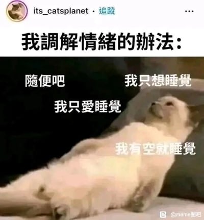 这是一张社交媒体截图类的文字加注梗图，顶部显示账号“its_catsplanet”的标识与“追蹤”按钮，主标题为“我调解情绪的办法：”，下方搭配一只侧躺仰头、神态慵懒惬意的浅色猫咪，猫咪周围环绕着“随便吧”“我只想睡觉”“我只爱睡觉”“我有空就睡觉”这些文字。图中用幽默自嘲的方式，表达了当代人面对情绪困扰时，选择以睡觉来逃避、放空自我，以此调节情绪的心态，风格轻松诙谐，极易引发大众共鸣，右下角带有“@meme圖吧”的水印，表明该内容被国内meme账号进行了传播。