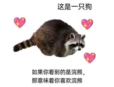 这张图片展示了一只胖乎乎的浣熊，周围环绕着粉色的心形图案。图片上方文字标注'这是一只狗'，下方文字则说'如果你看到的是浣熊，那意味着你喜欢浣熊'。这个梗通过故意将浣熊错误地标记为狗，来幽默地指出看到浣熊的人其实喜欢浣熊，带有轻松搞笑的氛围。