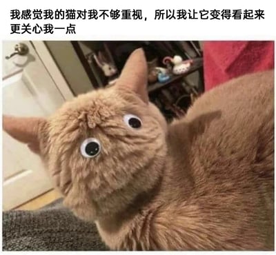暂无描述