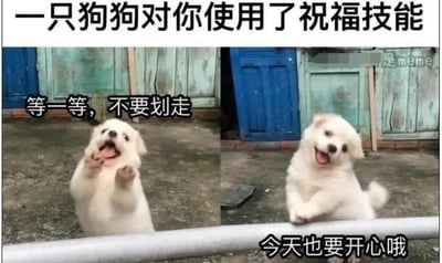 这张梗图由两张小狗的照片拼接而成，上部大字配有“一只狗狗对你使用了祝福技能”，模仿了RPG游戏中的“祝福”动作。左侧的小狗扒着栏杆做出“等一下，不要划走”的动作，表情乖巧呆萌；右侧的小狗歪着脑袋传递“今天也要开心哦”的温暖祝福。整体画风极度治愈，适合表达正能量、鼓励和可爱的社交氛围。没有明显的谐音梗、双关或暗示，仅以小动物的Q萌治愈抓住人心。