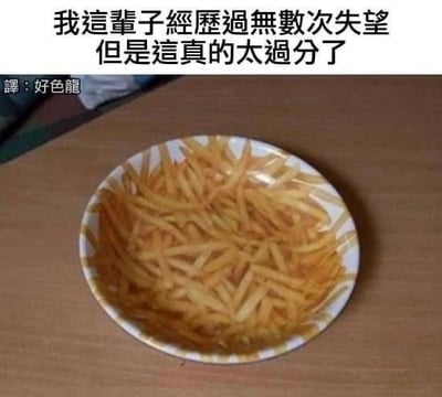 图片展示了一盘金黄色薯条盛放在带有花纹的纸盘中，放置于木质桌面上。画面上方配有传统中文字样：“我這輩子經歷過無數次失望但是這真的太過分了”，下方标注“譯：好色龍”。通过将人生中“无数次失望”与眼前的薯条场景对比，用夸张的情绪表达对日常小事的极致吐槽，形成幽默反差效果。