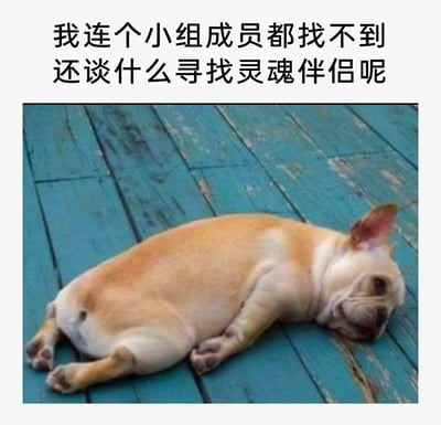 这是一张图文混排的静态表情包，上方配有文字“我连个小组成员都找不到 还谈什么寻找灵魂伴侣呢”，下方是一只浅棕色法国斗牛犬，它侧趴在褪色的蓝色木质地板上，耳朵耷拉着，眼神倦怠，身体瘫软，呈现出一种疲惫、沮丧的状态。图片用幽默自嘲的方式，吐槽了当下人们在工作或社交中连组队伙伴都难以找到，更不用说寻觅灵魂伴侣的无奈处境，戳中了很多人在社交、职场中的窘迫与心酸情绪。