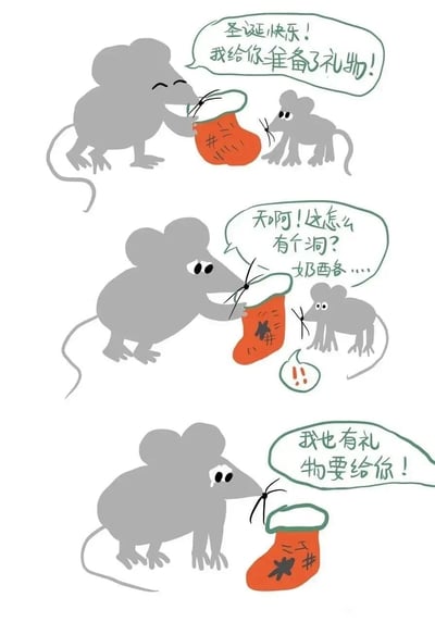 这是一幅三格连环卡通漫画，主角为两只灰色老鼠，围绕圣诞袜礼物展开趣味故事：第一格中，大老鼠开心地递出橙色圣诞袜，对小老鼠送上圣诞祝福并告知准备了礼物；第二格中，大老鼠发现袜子上有破洞，惊讶地发出疑问“天啊！这怎么有个洞？奶西各……”，其中“奶西各”是“哪里来的”的谐音，小老鼠也露出震惊的反应；第三格中，小老鼠坦然地递出一只同样有破洞的圣诞袜，说“我也有礼物要给你！”，呼应了破洞的来源——正是老鼠的习性导致袜子被咬破，形成了搞笑的乌龙效果。