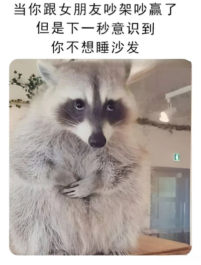 图片上方是文字“当你跟女朋友吵架吵赢了但是下一秒意识到你不想睡沙发”，下方是一只站立的浣熊，它双手交叉放在胸前，表情看起来有些担忧和思考，仿佛正处于这种纠结的情境中。这张图通过将人的心理活动与浣熊的表情动作结合，幽默地展现了情侣吵架后男方的矛盾心理。