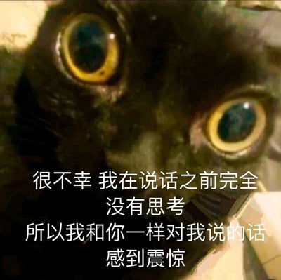 这是一张用于表达社交尴尬情绪的文字加注类表情包，画面主体是一只黑色猫咪的近距离脸部特写，猫咪瞳孔大幅放大，眼神满是震惊，完美契合了配文传递的情绪。配文内容为“很不幸 我在说话之前完全没有思考 所以我和你一样对我说的话感到震惊”，以自嘲的口吻，精准描绘了人们在不经思考口不择言后，自己也对所说内容感到错愕、后悔的状态，适合在日常聊天、职场沟通等场景中，用来调侃自己的失言瞬间，引发他人共鸣。