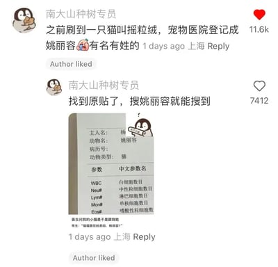 这是一张社交媒体评论区截图，内容是一位网友分享之前见到一只猫的宠物医院登记名叫“姚丽容”。网友觉得这只猫“有名有姓”非常有趣，还配有宠物化验单（主人名：杨**，动物名：姚丽容），产生了搞笑反差。图片展现了网络对“铲屎官给猫正经取名”的幽默吐槽。没有明显谐音梗，但名字的正经与猫咪身份的反差本身就有幽默效果。