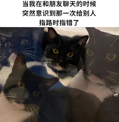 一张猫咪表情包，上方配有文字“当我在和朋友聊天的时候 突然意识到那一次给别人指路时指错了”。图片主体是一只黑白相间的猫，它瞪大黄色的眼睛，表情震惊，似乎突然想起了什么尴尬的事情。猫咪的图像有镜像效果，增强了那种突然醒悟的冲击感。