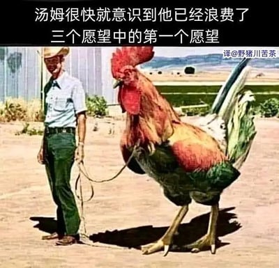 这是一张经过P图改编的搞笑静态图，画面中戴着牛仔帽的男子汤姆，用绳子牵着一只体型和他几乎一样大的巨型公鸡，背景是开阔的郊外空地。图上方配有文字“汤姆很快就意识到他已经浪费了三个愿望中的第一个愿望”，通过夸张的P图效果，构建出许愿失误得到无用巨型生物的荒诞场景，以此制造滑稽搞笑的氛围，没有双关、谐音梗等内容，纯粹用荒诞感带来笑点。