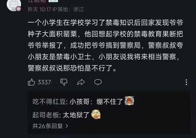 这是一则在社交平台流传的地狱笑话动态：小学生在学校学习禁毒知识后，发现爷爷种植大面积罂粟，便果断举报，爷爷被带到警局，警察叔叔夸赞他是禁毒小卫士，当小朋友表示未来想当警察时，警察叔叔告知他恐怕不行。
这个段子的笑点在于，爷爷的违法记录会影响后代政审，导致小孩的警察梦直接破灭，属于黑色幽默类的地狱笑话。下方两条评论“小孩哥：绷不住了”“太地狱了”也体现出网友对这个扎心梗的反应。