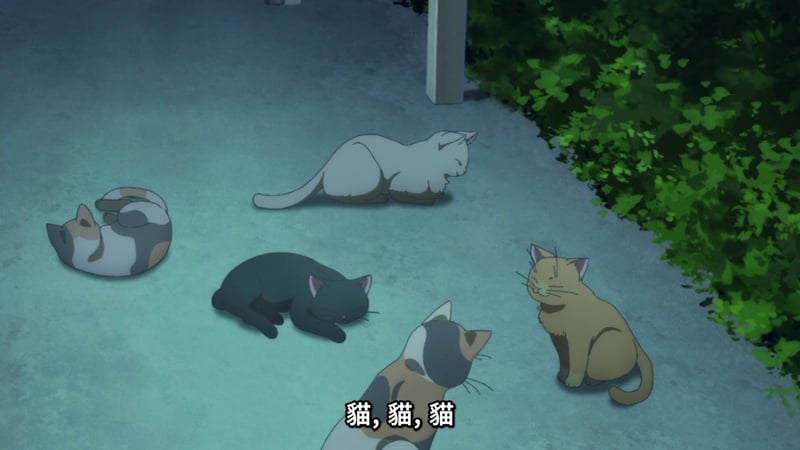 MyGO! 五只猫咪悠闲场景