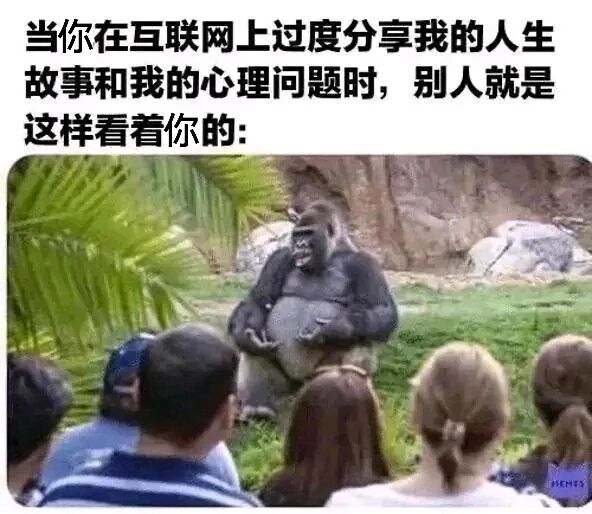 动物园动物