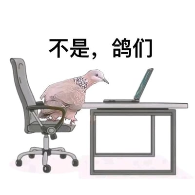 暂无描述