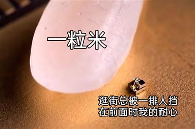 这是一张生活吐槽类的搞笑梗图，通过强烈的视觉反差来传递情绪。画面主体是一粒被放大展示的米粒，在米粒的右下方有一个体积远小于米粒的微型物件；图片上方标注文字“一粒米”，右下角则配有文字“逛街总被一排人挡在前面时我的耐心”。创作者将逛街被人群阻挡时的耐心比作比米粒还小的物件，用夸张的方式形象地表现出这种场景下，人的耐心会变得极其微薄，精准戳中了人们日常逛街遇到拥挤、被挡路时的烦躁与无奈，引发共鸣。