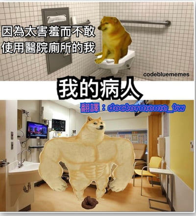这是一张上下对比的双 panel 梗图。上半部分背景是医院厕所，白色瓷砖墙，配有卫生纸架和扶手，一只黄色柴犬正害羞地坐在马桶上，旁边文字写着“因为太害羞而不敢使用医院厕所的我”。下半部分场景切换到医院病房，有医疗设备、病床和座椅，一只拥有夸张肌肉线条的柴犬自信地站在房间中央，脚下有一小堆排泄物，上方大字标注“我的病人”，形成“自己害羞如厕”与“病人豪放排泄”的幽默反差。
